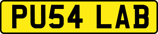 PU54LAB