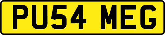PU54MEG