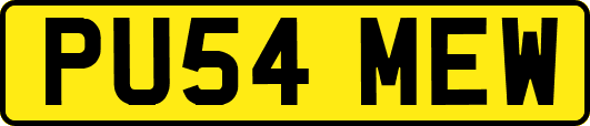 PU54MEW