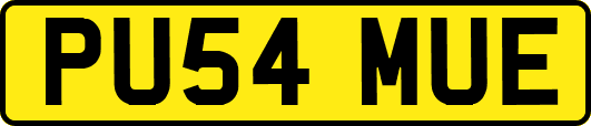 PU54MUE
