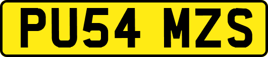 PU54MZS
