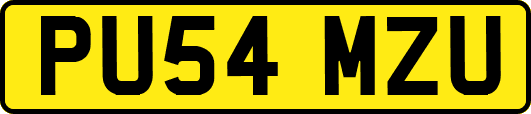 PU54MZU