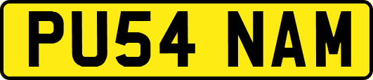 PU54NAM
