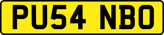 PU54NBO