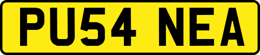 PU54NEA
