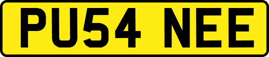 PU54NEE