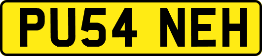 PU54NEH