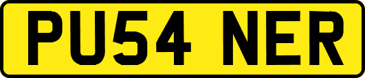 PU54NER