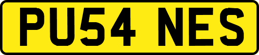 PU54NES