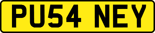 PU54NEY