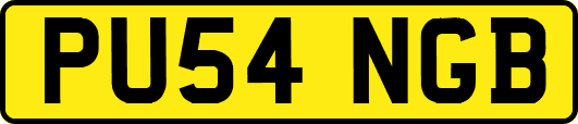 PU54NGB