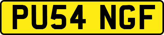 PU54NGF