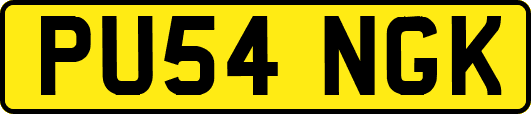 PU54NGK