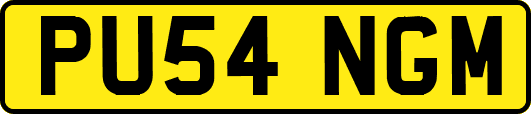 PU54NGM