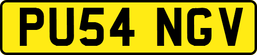 PU54NGV