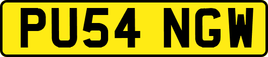 PU54NGW