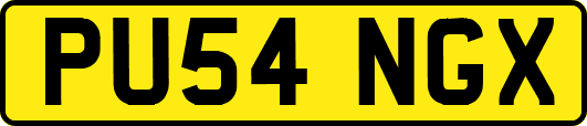 PU54NGX