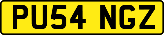 PU54NGZ