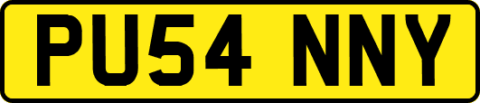 PU54NNY