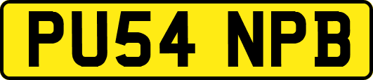 PU54NPB