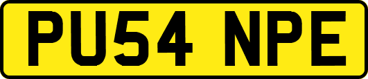 PU54NPE