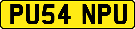 PU54NPU