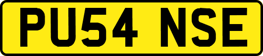 PU54NSE