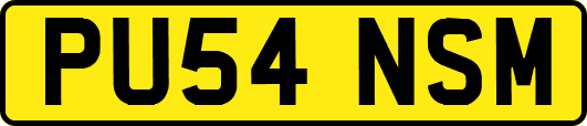 PU54NSM