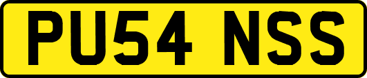 PU54NSS
