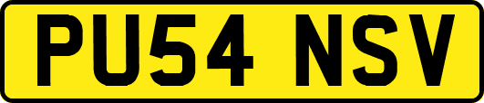 PU54NSV