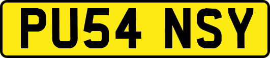 PU54NSY