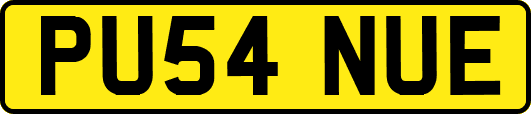 PU54NUE
