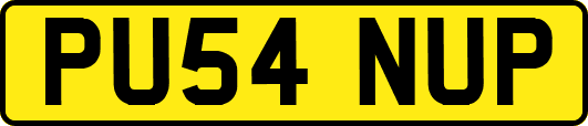 PU54NUP