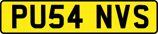 PU54NVS