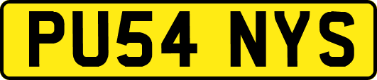 PU54NYS