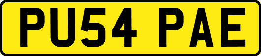 PU54PAE