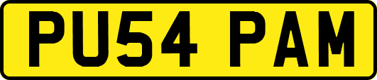PU54PAM