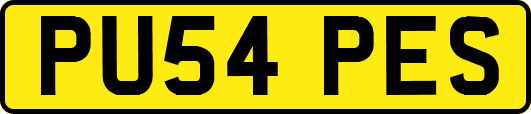 PU54PES