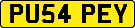 PU54PEY