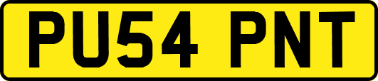 PU54PNT
