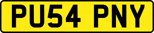 PU54PNY