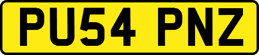 PU54PNZ