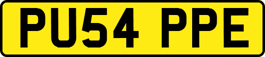 PU54PPE