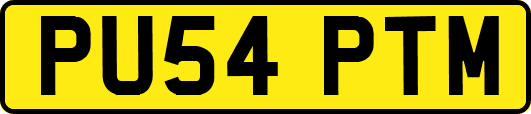 PU54PTM