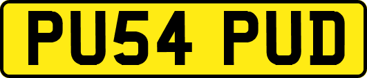 PU54PUD