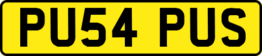 PU54PUS