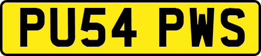 PU54PWS