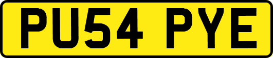 PU54PYE
