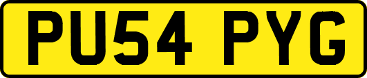 PU54PYG