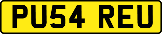PU54REU